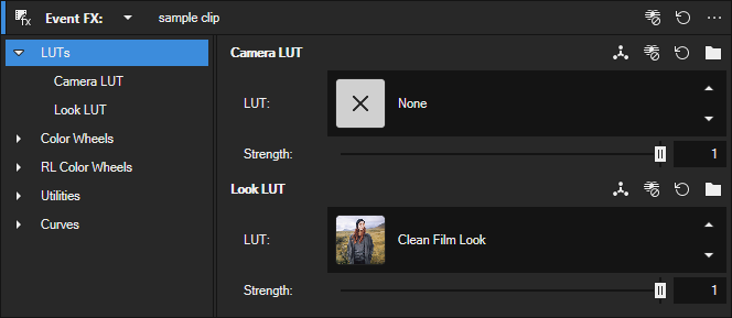 LUTs section with Camera LUT and Look LUT rows, each with LUT chooser, Strength slider, and toolbar buttons for Interpolation, LUT Selection, Reset, and Browse